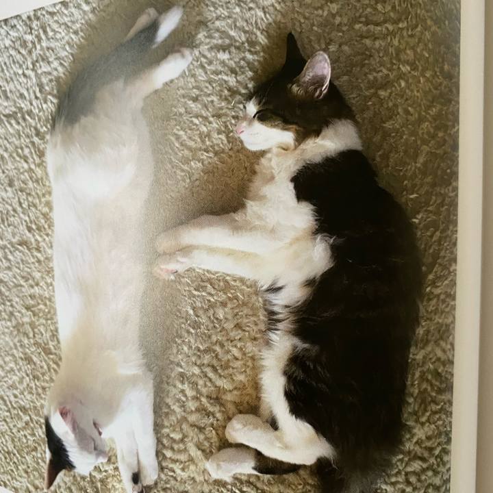 Ae03d55c 0021 4c11 8ffb 112f99bfd120 1664748680588