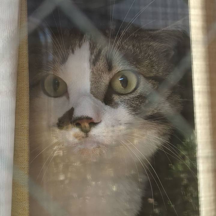 Ae03fbb0 51c2 43e9 9bd0 ad82a14e6b4a 1666938482283