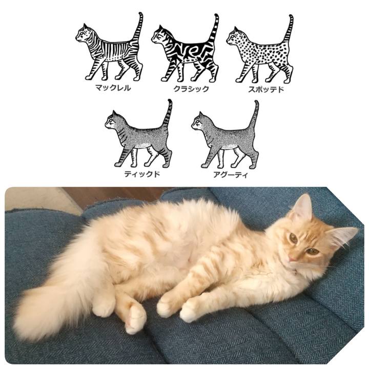 Ae041d40 6762 4042 a5cf c9d80f73dbc8 1615760922964