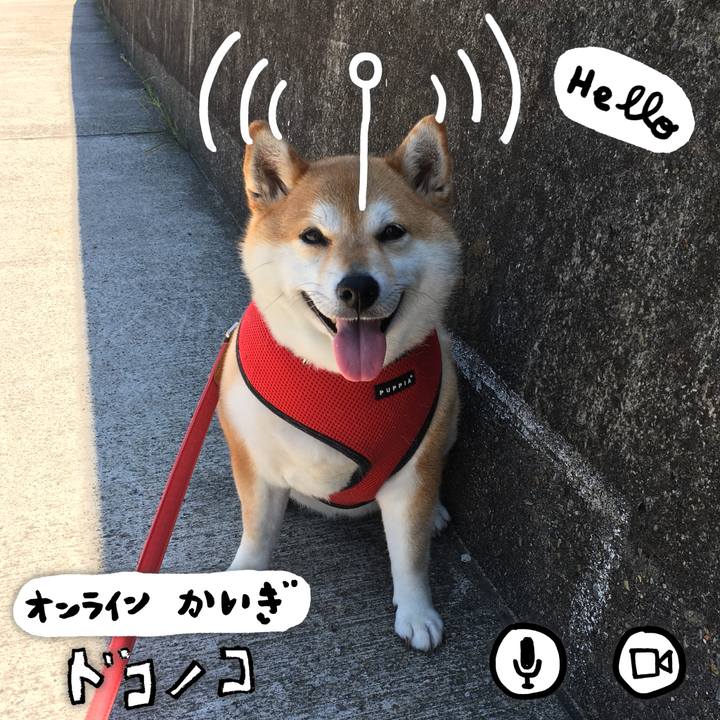 Ae042050 f1ee 4685 a9e7 e74f6ba3b55e 1590739378713