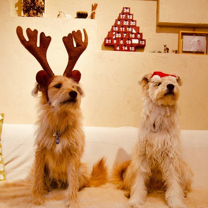 Ae04353b a1ff 4c52 b2f7 4433e0210c9f 1577193332401