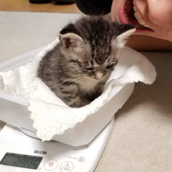 Ae048512 0a44 46af b8a2 058ff4158d19 1660171160319