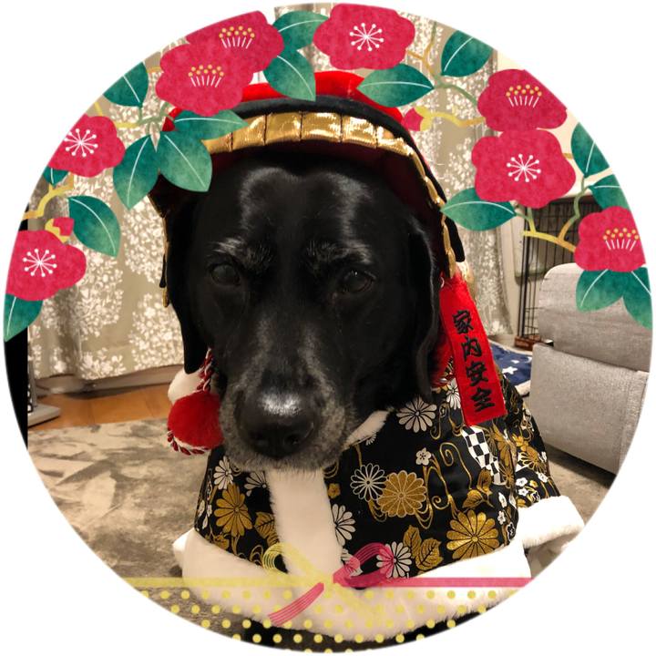 Ae04bec0 a665 4002 aeee 216b31ffe5f4 1576751339345