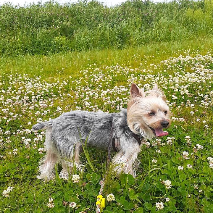 Ae04ccca 132a 4d99 9824 5d382fae91ad 1683264752336