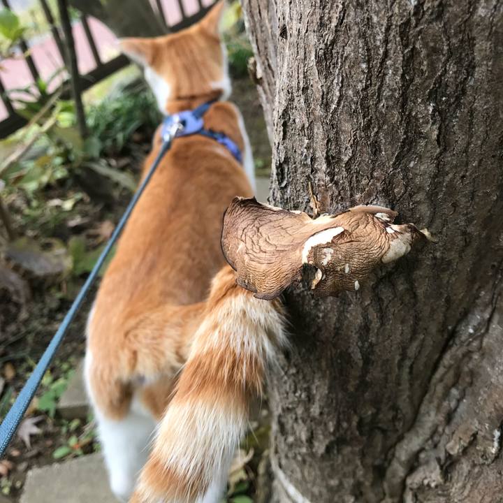 Ae04ebd9 4d78 4708 a53d d6195755a70f 1509587833649