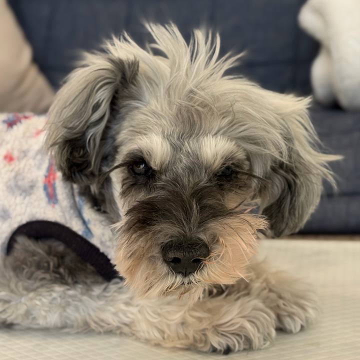 Ae04fb32 569d 4bcd 874b 329472aa1f97 1769147541216