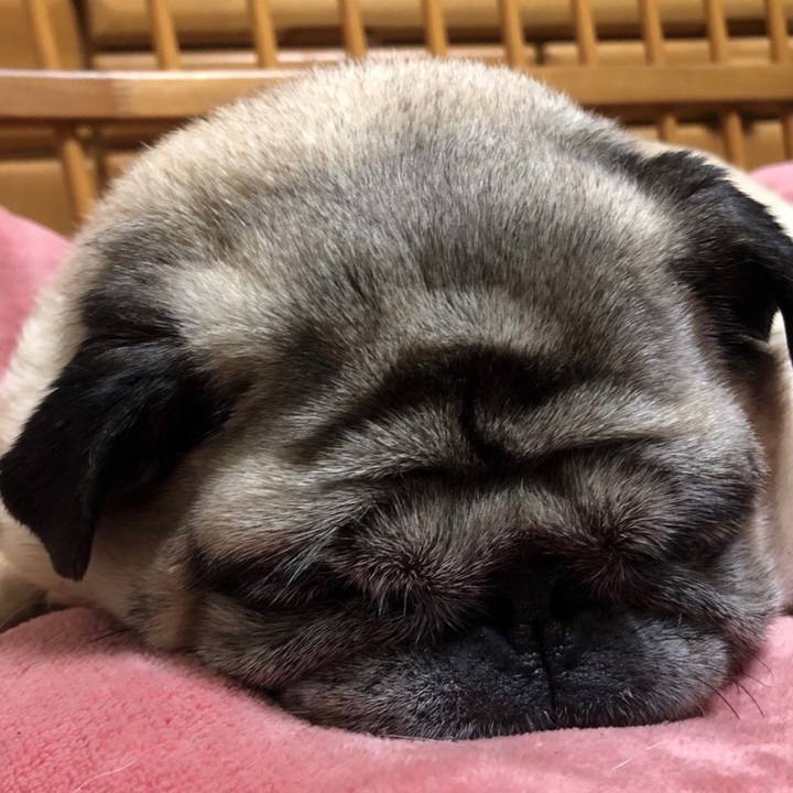 Ae050684 4d7d 4a9d 8e16 9673ee44042c 1529673343737