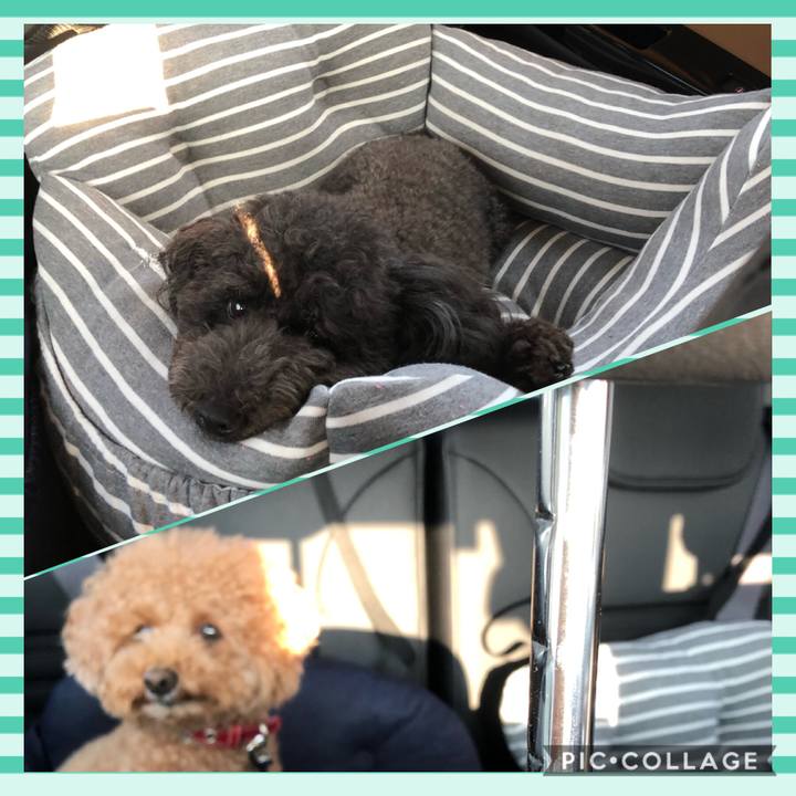 Ae050a06 c844 4542 8f73 e759e3730800 1599659912395