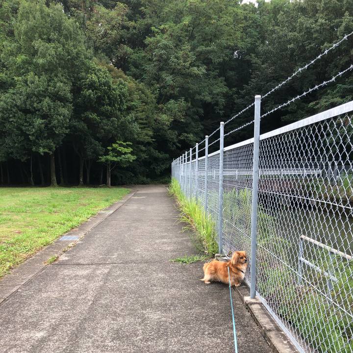 Ae050a77 da06 4002 a2ca 2512dc8dcbc9 1567290101676