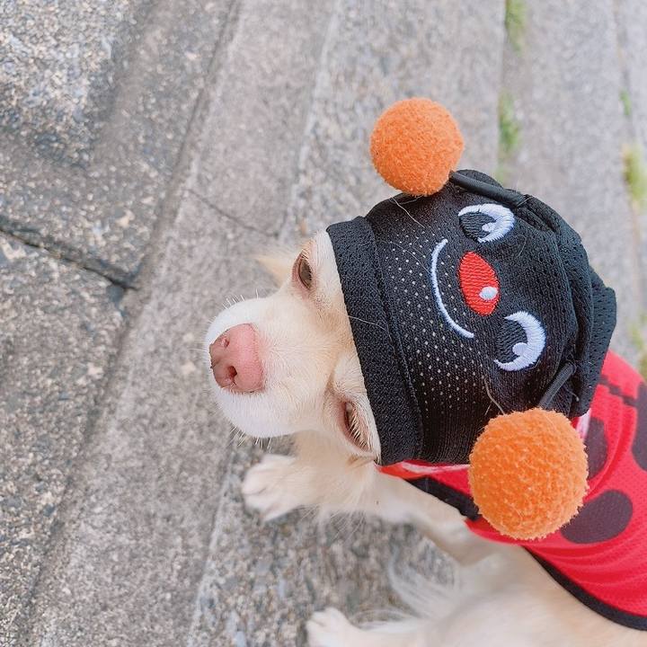 Ae050c12 1cf7 44d1 b123 e0f190f89d10 1619599119650