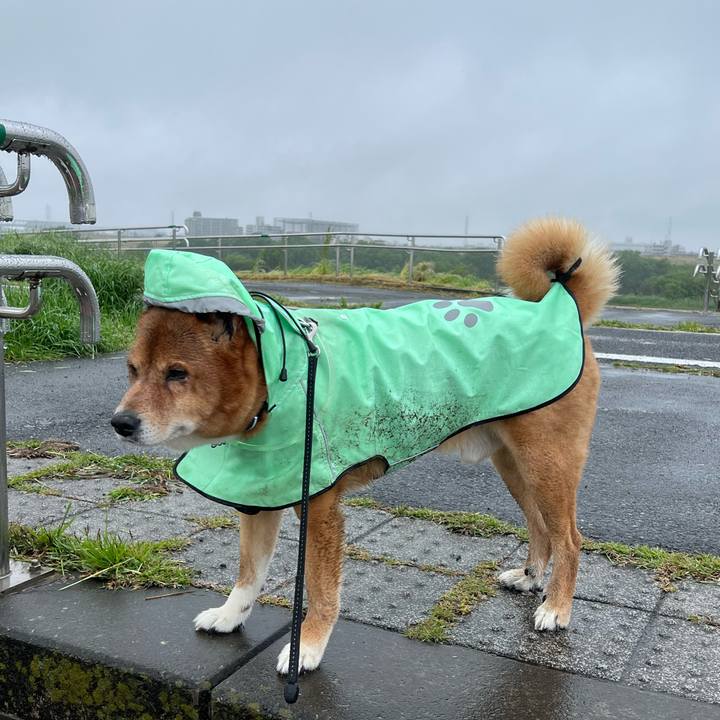 Ae05156b 0a80 428a becd d38e1d2248e4 1746841718573