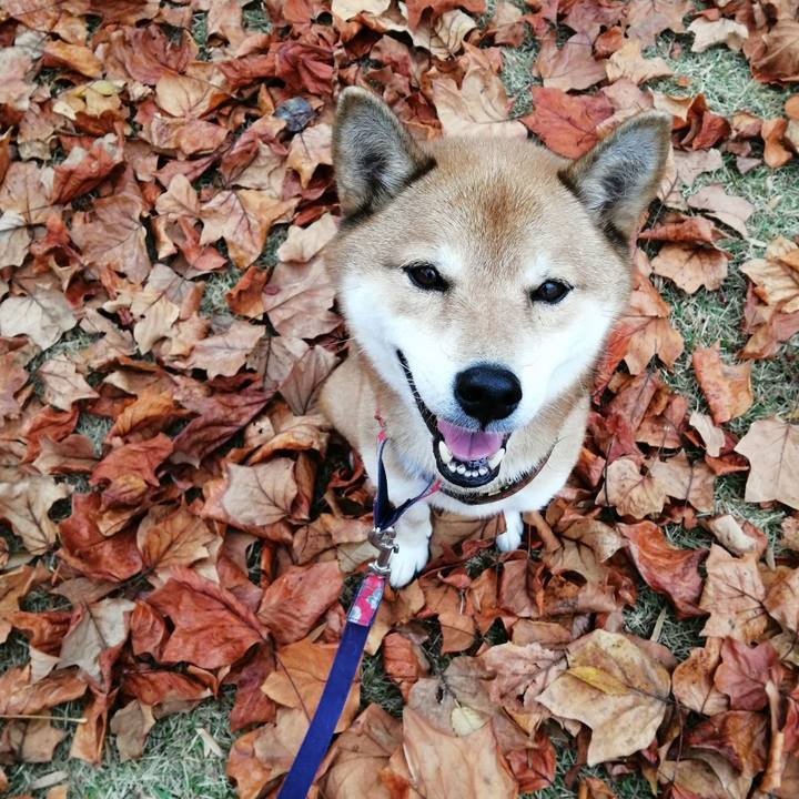 Ae053141 deb7 492b 848f 31c6a136245e 1605829865861