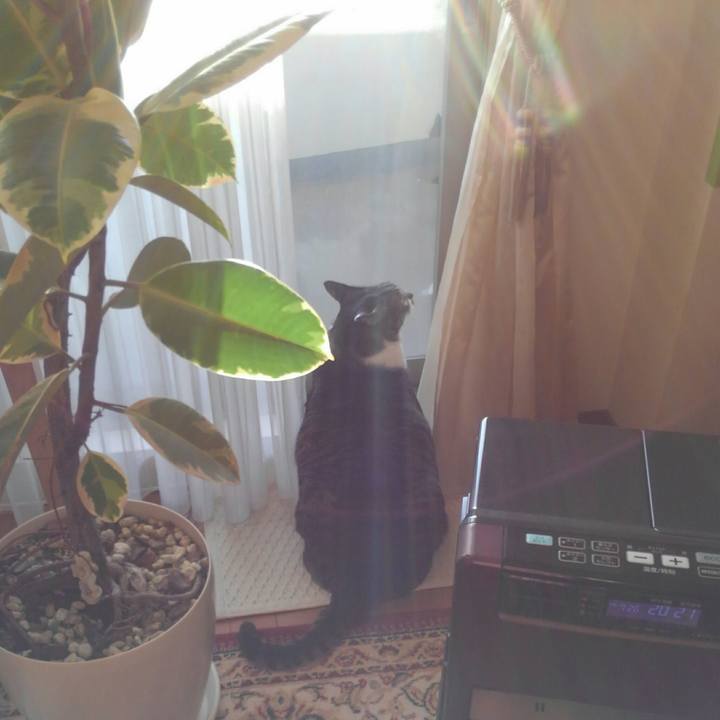 Ae05e149 a65e 4d71 9e65 22a8f19561ff 1517351490813