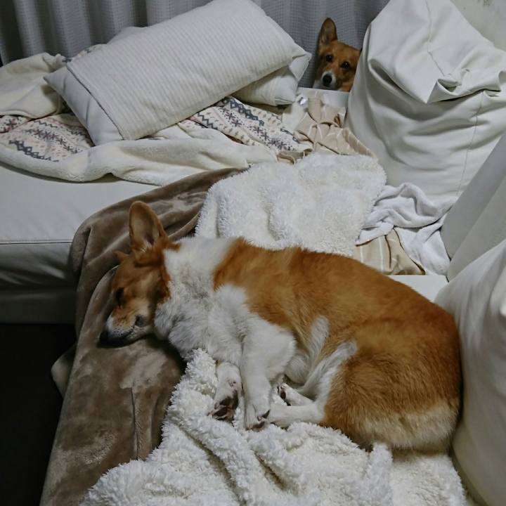 Ae05f05f 777f 4620 9875 9e3edf6eca17 1549535808573