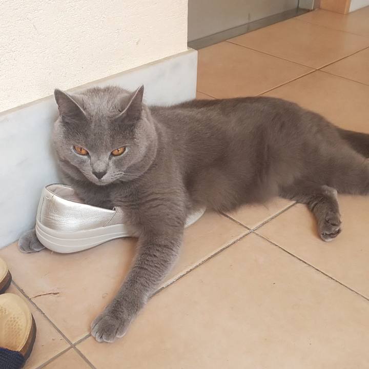 Ae0613ae 92f4 4c64 b170 0dbb68293c52 1564625954897