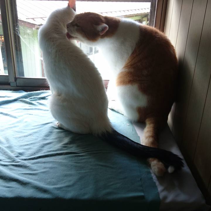 Ae0618ca 73d7 4486 8da5 55cda2b52c16 1566348823555