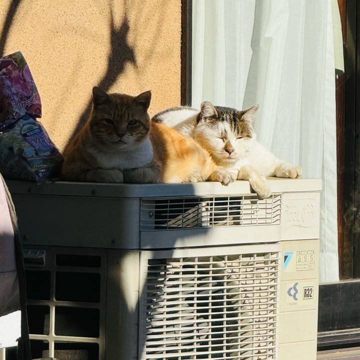 Ae0625d0 5329 4306 98a4 e72f4d5679ec 1767840628461