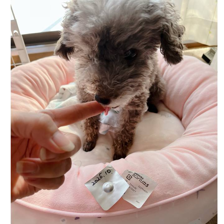 Ae063206 f5fb 4f32 a0d4 efb42b6a8bc5 1760160290655