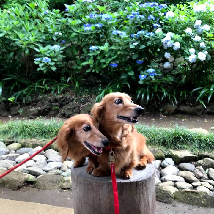 Ae068b87 5b0c 41f6 920f 78e362019c8d 1624412038585