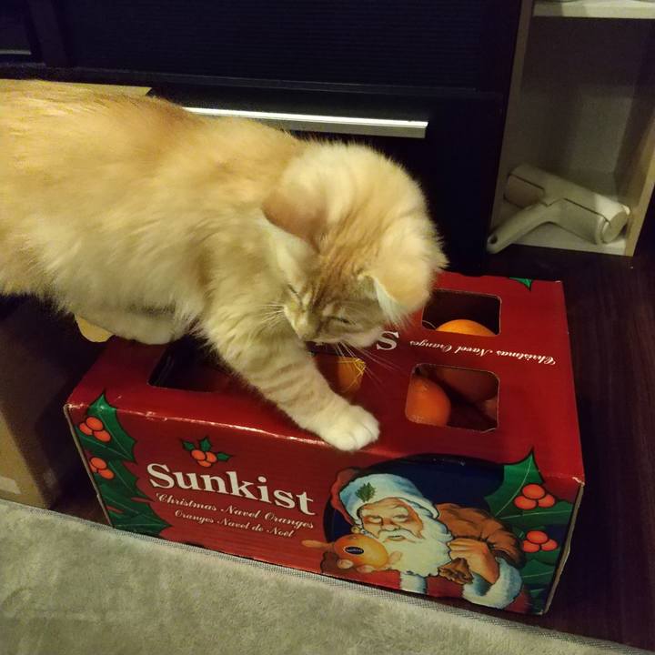 Ae06a4d2 68a2 433b a2f8 87057709ac00 1608812482487