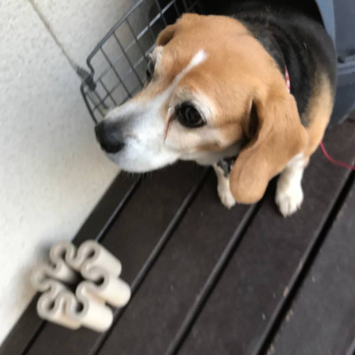 Ae06b07a 2a5d 439c bd13 c72e05216215 1522758516053