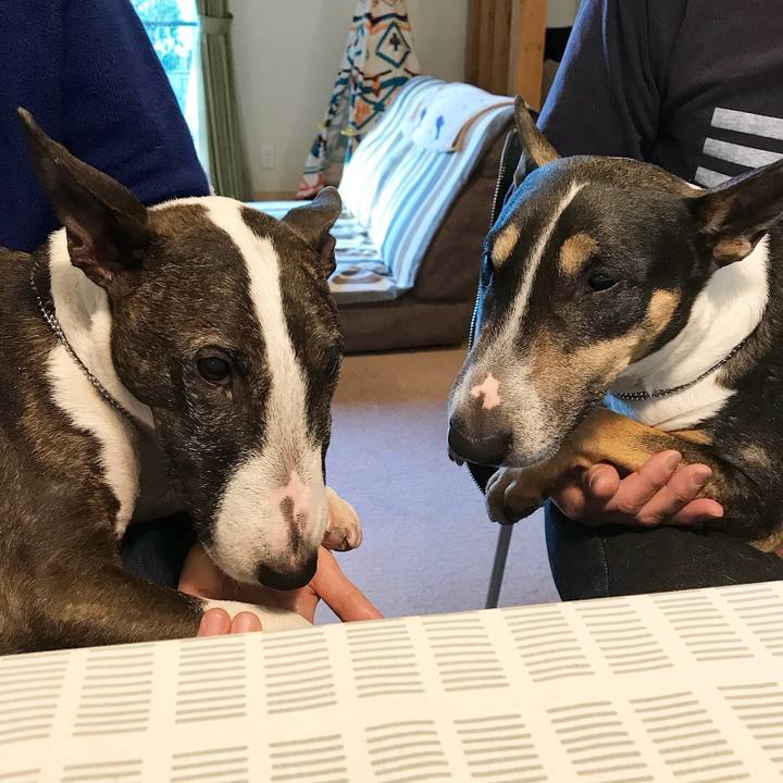 Ae06b0de de2c 435d aa53 b7cab1c1091f 1517040812794