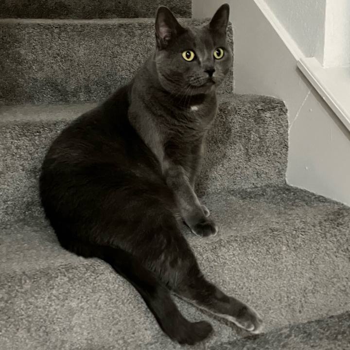 Ae06be4e 7ad9 49c2 897e 986744965ea6 1703702332428