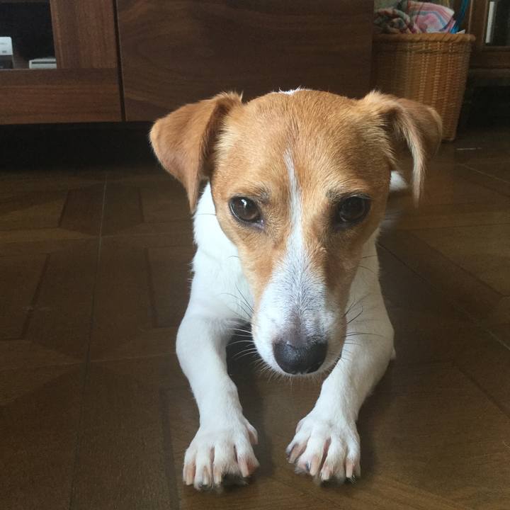 Ae06c7c2 b2f1 4c62 aaca 58ad43b5bdce 1536110005236