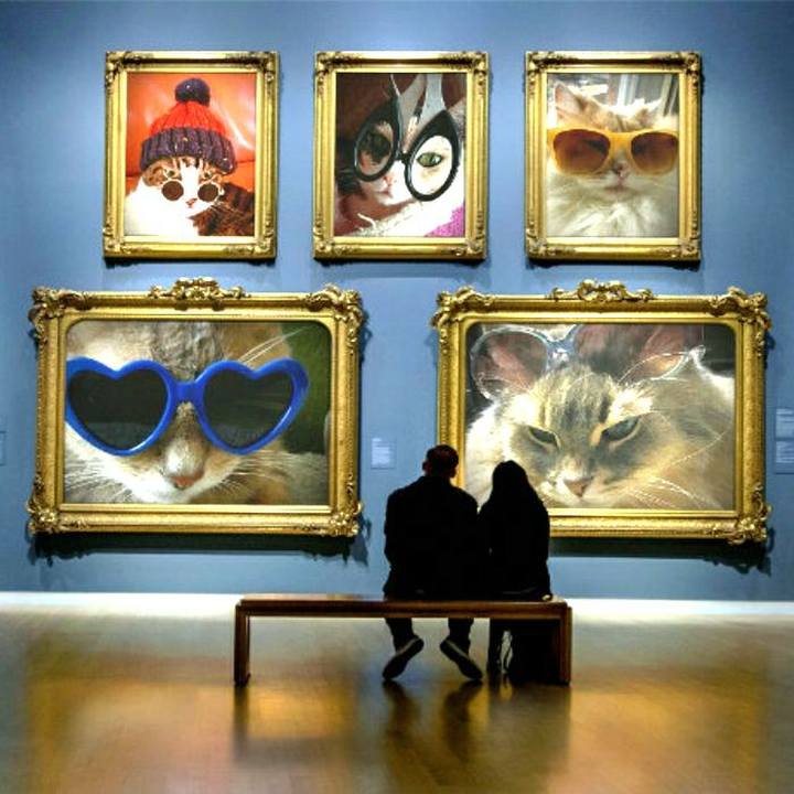 Ae06d8a1 af92 48d5 948c d062b7a68044 1554281154646