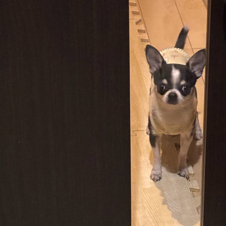 Ae06ef7f a799 4e6a 9215 43c9b9082701 1767889505646