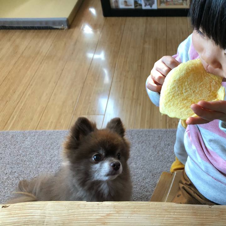 Ae06f315 0036 4b1b a758 392d1c6f9d48 1579050756744