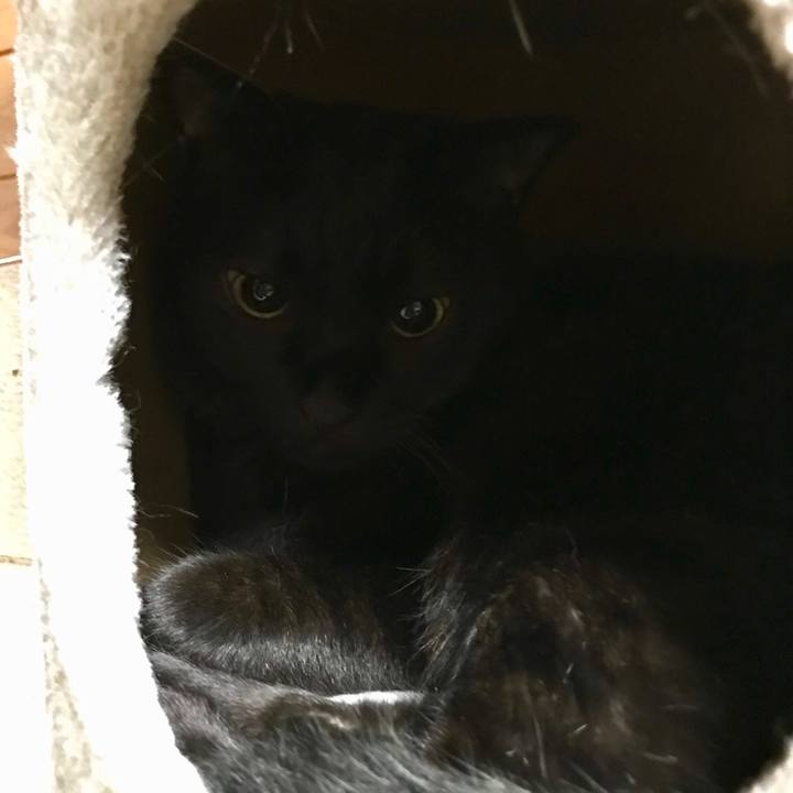 Ae07225f a3da 4ef9 88bc 02a12ef763c6 1529418532210