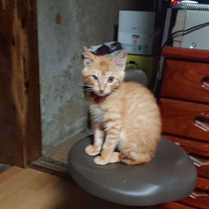 Ae072e80 b013 4b04 ac63 2ab5d762b49b 1630269694521