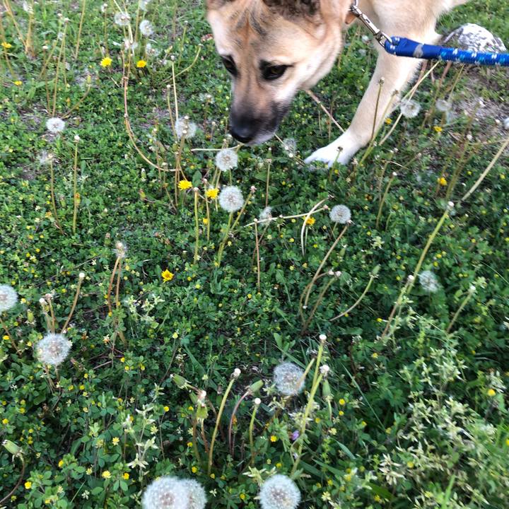 Ae07372f db61 4482 8f74 1aeee7d3466e 1524138032398