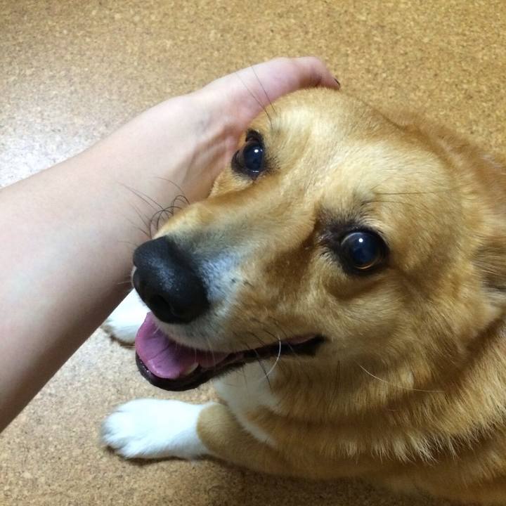 Ae075a11 56cb 4acd a0fc 6fa2fd36da5f 1521470362709