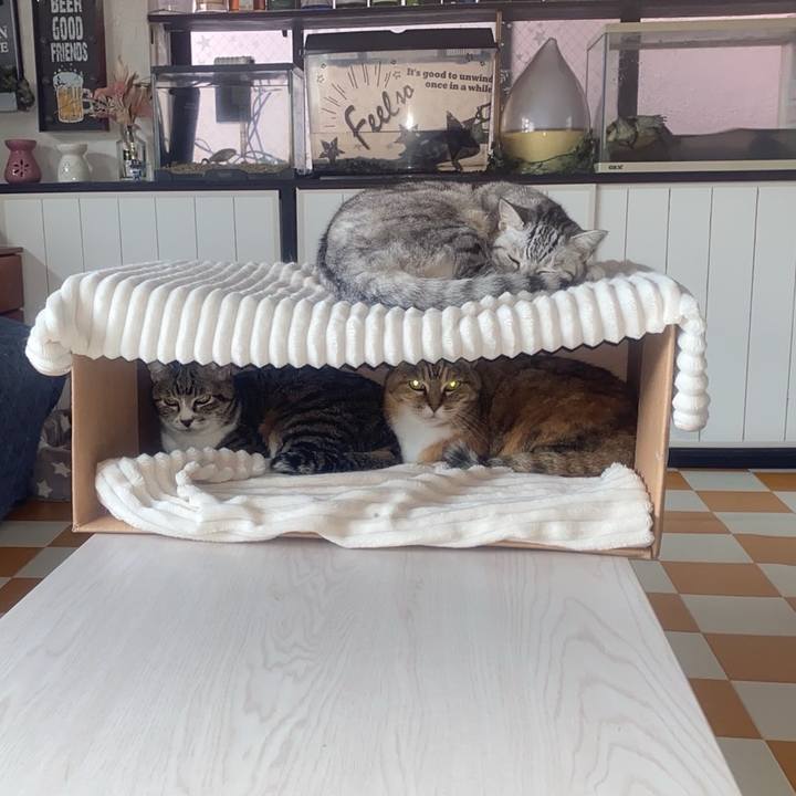 Ae0772f2 9703 4b6e baf6 152a7773c6e1 1717298560633