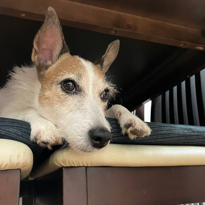 Ae0792eb 4e55 4fa8 bcd0 0e47b6728ab3 1692833022796