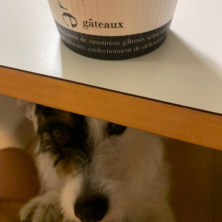 Ae07bdb2 9dea 4849 8599 52897b4d3f5a 1589371895961