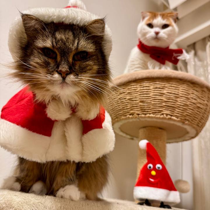 Ae08307b cba6 42f9 93b7 2fef2330c596 1766587215039