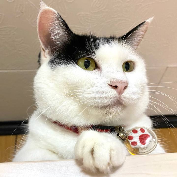 Ae0859ec 799d 42ab a7f2 573af093f426 1728018528919