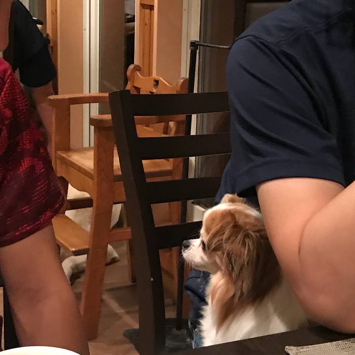 Ae0868a6 1d04 417e a2e0 6a62e59350b9 1565679366053