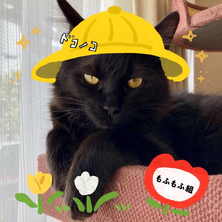 Ae088453 e377 4681 9b86 e401861fc35d 1712210292000