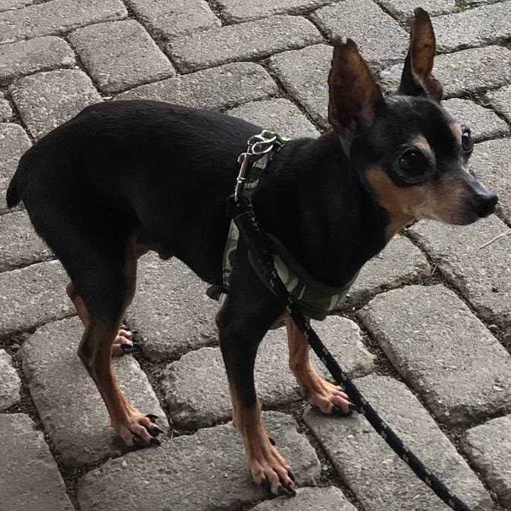 Ae0888d0 5399 4043 b26c c1cfb51af328 1527865166895