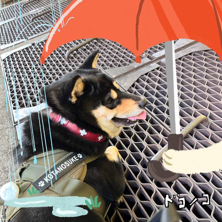 Ae08d318 83fa 4ddc 8f66 e67e2b53ba26 1749549355311