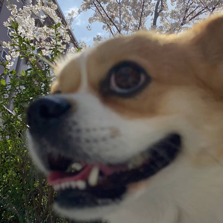 Ae08e32e 9c5e 4d75 aa55 065339be77c9 1616985320309