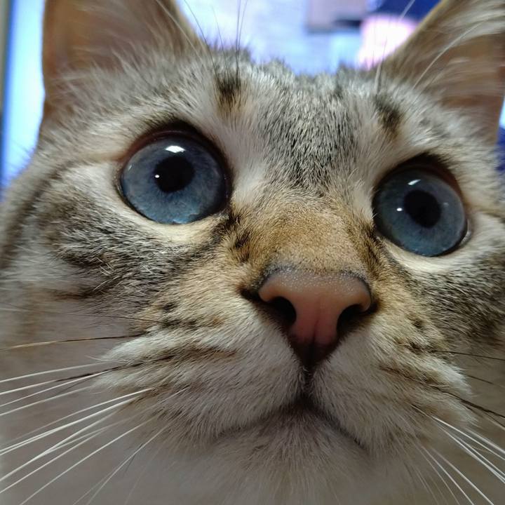 Ae08e7e9 bcc9 4ca7 9e7b 3ec2be801e12 1621334399889