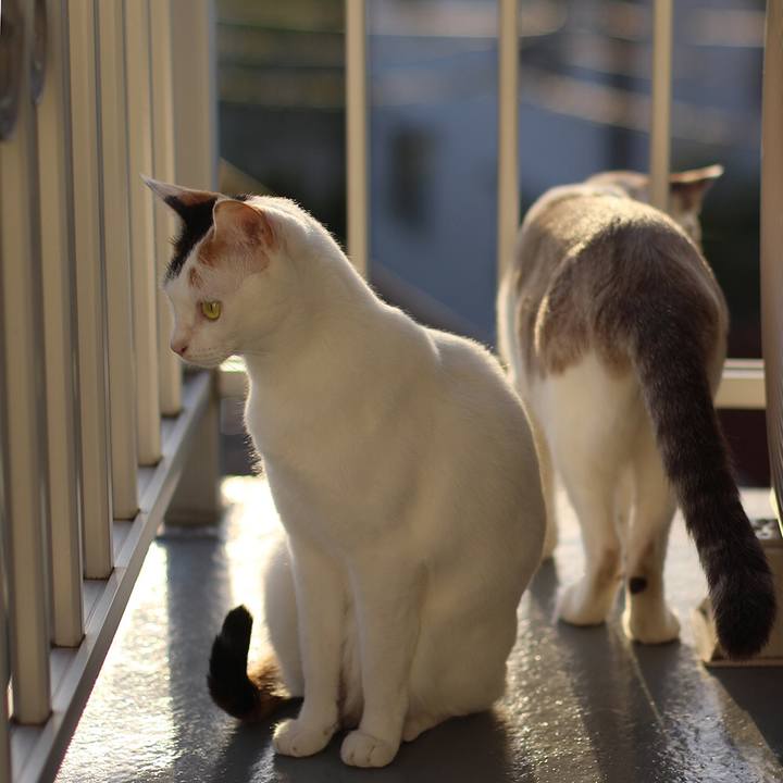 Ae090024 f43a 49fb 93bb 90e72cfa9772 1637711680628