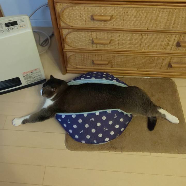 Ae09138d b065 4d41 bcdd a6e5a63925f3 1618284656491