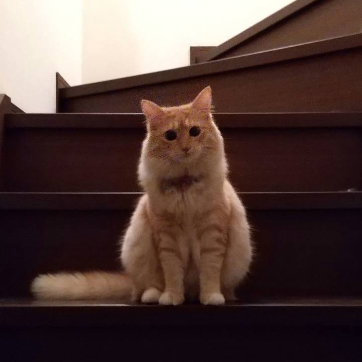 Ae091478 3601 4efb 8561 4b4db4714a47 1632747736955