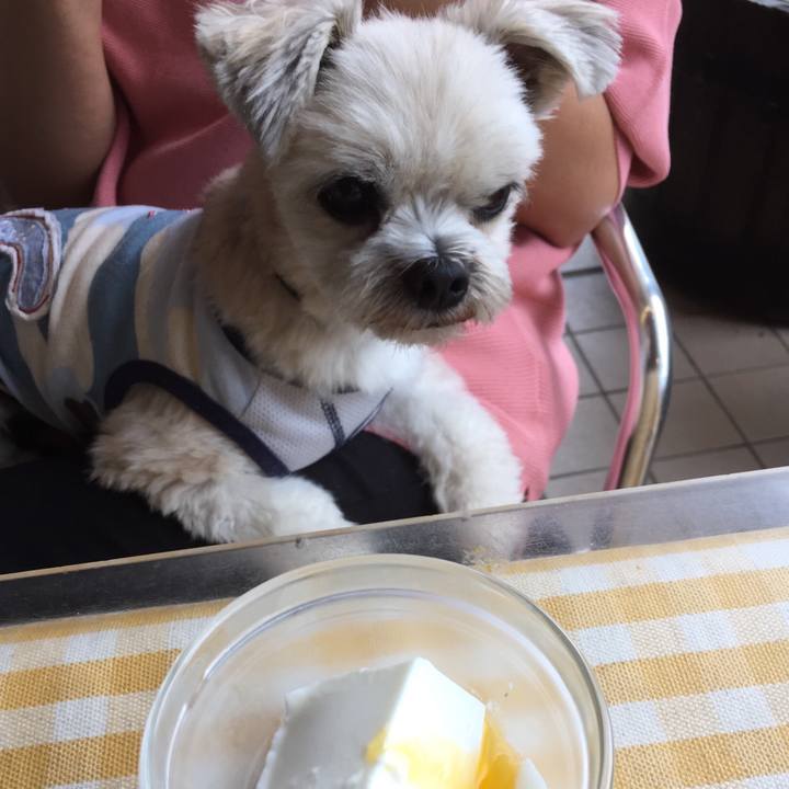 Ae092790 54c1 45da 902b 512eb16c1951 1538978404081